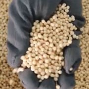 Apel BK 522 Boncuk Tutkalı